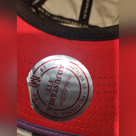 discontinued Toronto Raptors 5-panel hat by Mitchell & Ness - Picture 4 of 6